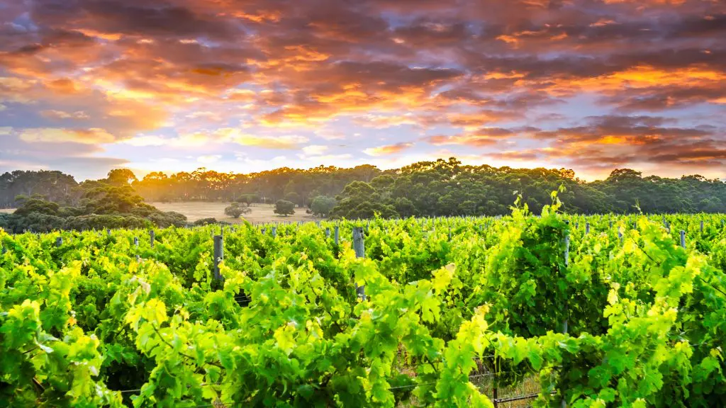 Gallery photo of EdenLife Margaret River