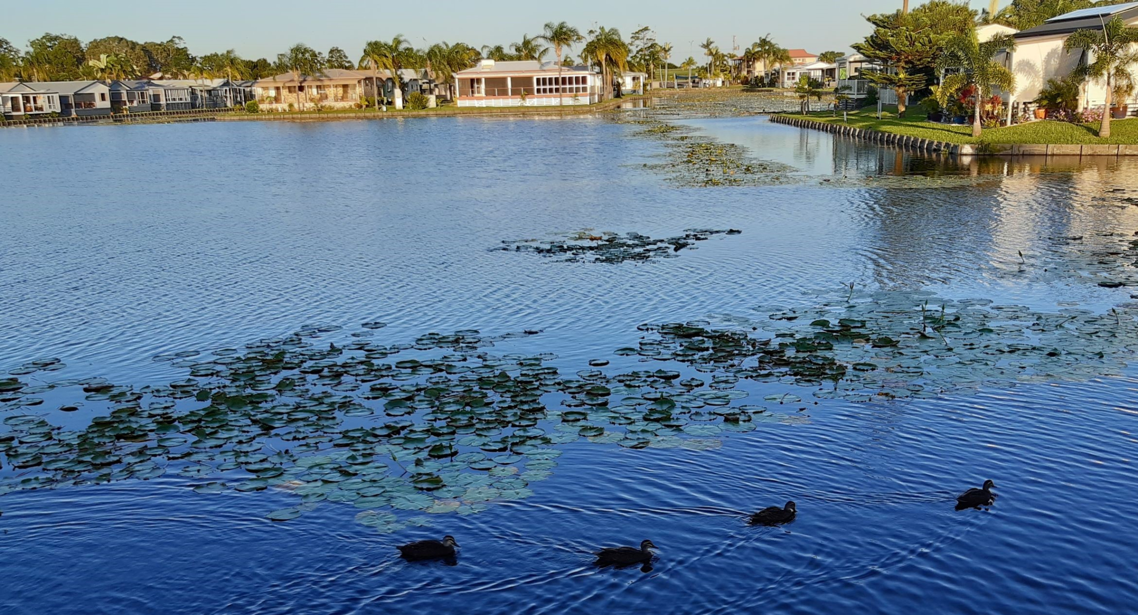 Gallery photo of Paradise Lake Resort