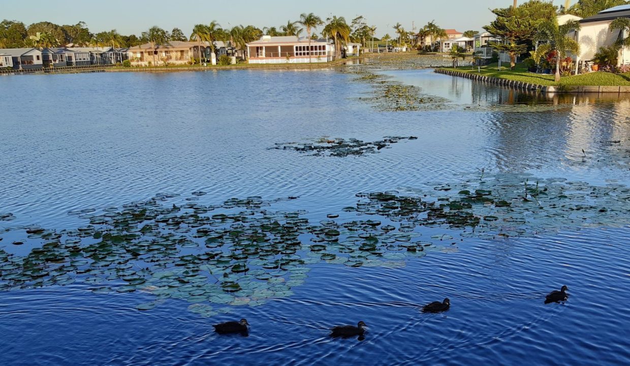Gallery photo of Paradise Lake Resort