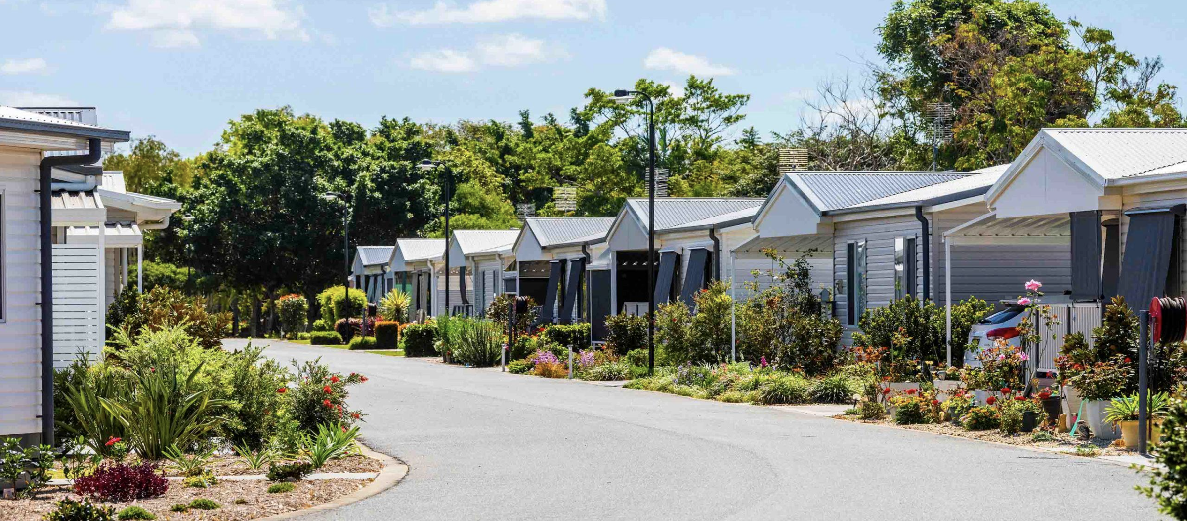 Gallery photo of Jacaranda Grove Grafton